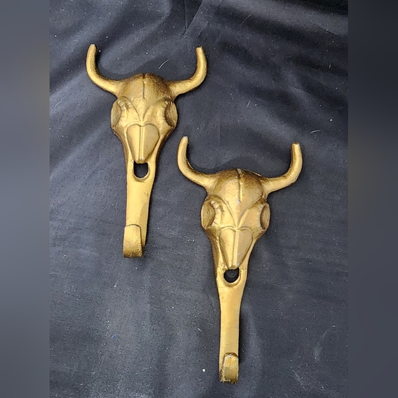 Source Unknown Other - longhorn skull with horns Wall Hooks